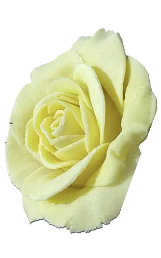 gâteau fleuri gauche